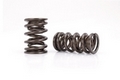 Valve Springs